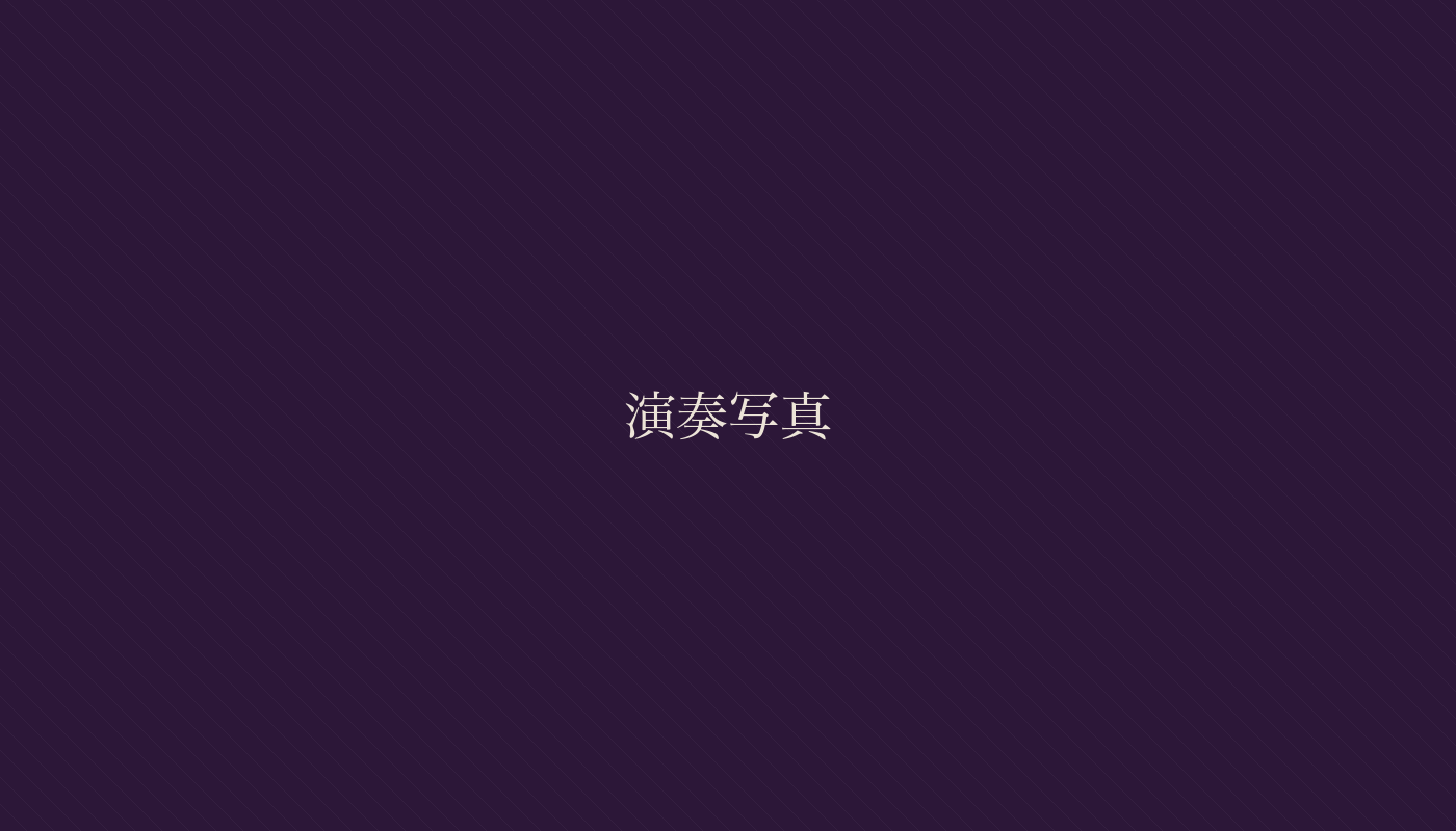 演奏の様子